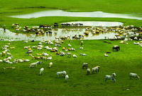 informat_1552610913158