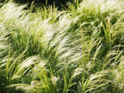 informat_1552611083452