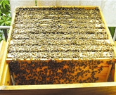 informat_1552611526187