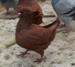 informat_1552612016493