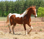 informat_1552612119493 informat_1552612119493