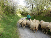 informat_1552612248933