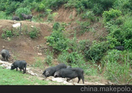 informat_1552612331094