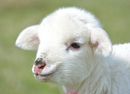 informat_1552612659780