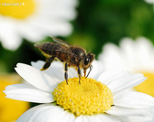 informat_1552893112767 informat_1552893112767