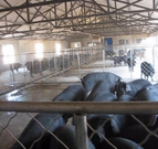 informat_1552893231764 informat_1552893231764