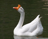 informat_1552893353402 informat_1552893353402