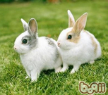 informat_1552893483804