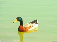 informat_1552893569646 informat_1552893569646