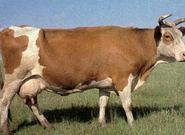 informat_1552893743789