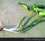 informat_1552958009034 informat_1552958009034