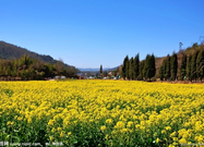 informat_1552958086386 informat_1552958086386