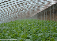 informat_1552958173244 informat_1552958173244