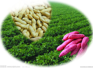 informat_1552959337924