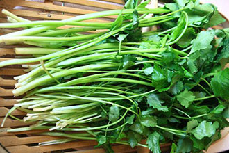 informat_1553670403899