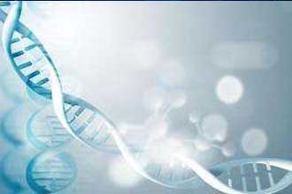 informat_1553670595688