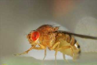 informat_1553670758061