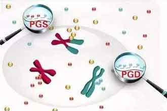 informat_1553670878776