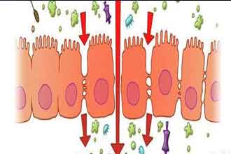 informat_1553671015774