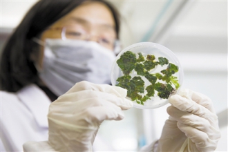 informat_1553671121090