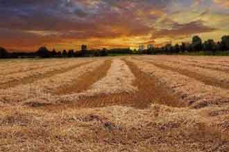 informat_1553671212651 informat_1553671212651