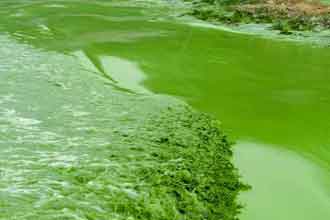 informat_1553671243352