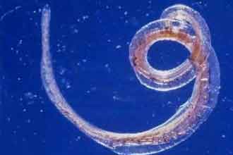 informat_1553671295187