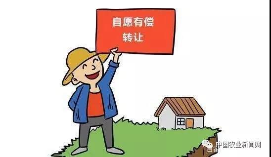 1556585295106026457
