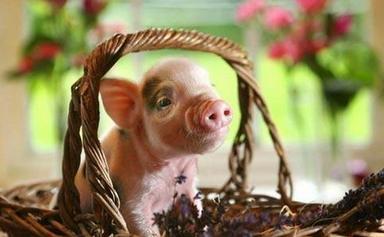 informat_1554173101893