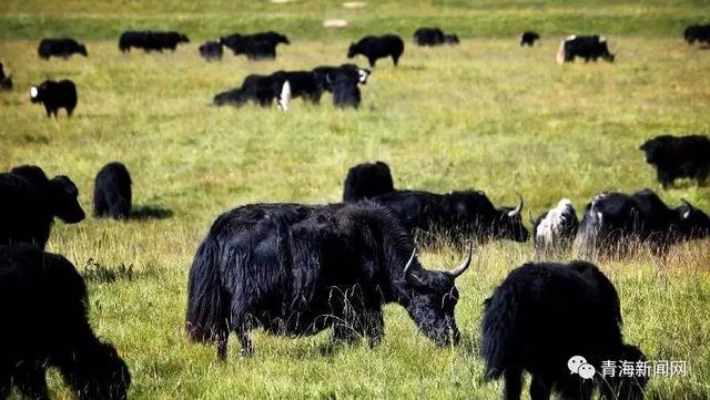 informat_1554259410341 informat_1554259410341