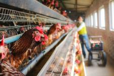 informat_1554259521005