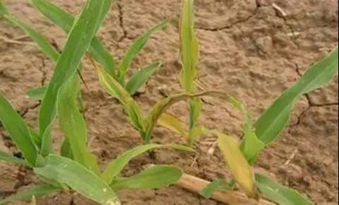 1559004684799016374 1559004684799016374