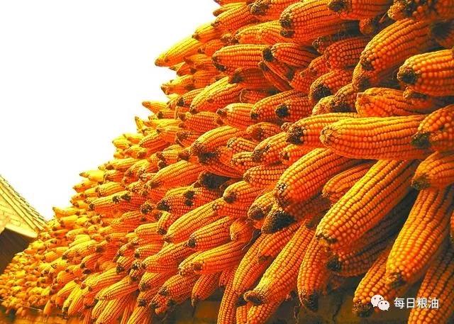 1559090375062043394 1559090375062043394