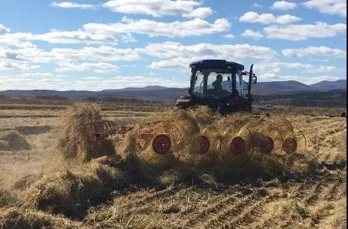 1559091117829051238 1559091117829051238