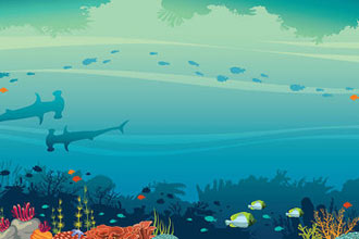 informat_1589505196597 informat_1589505196597