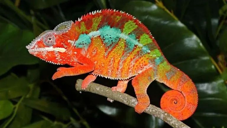 1596592784316044566 1596592784316044566