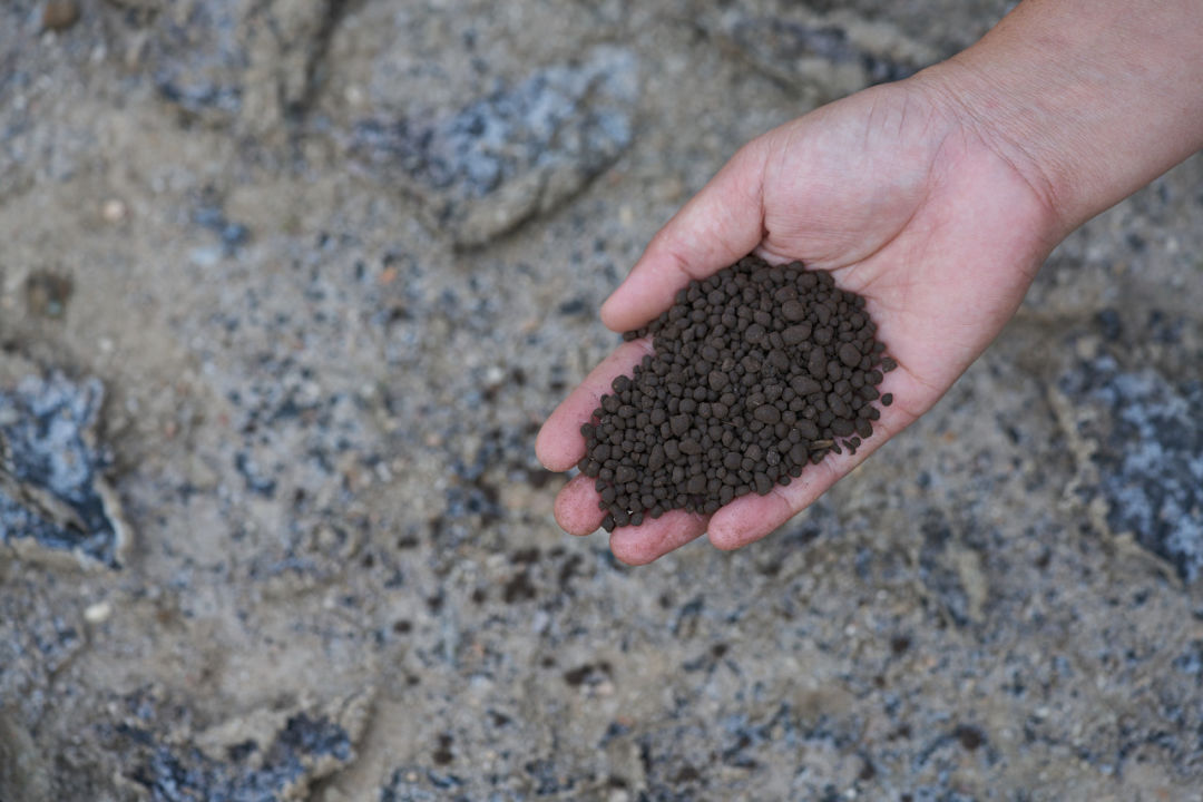 1597977241681074176 1597977241681074176