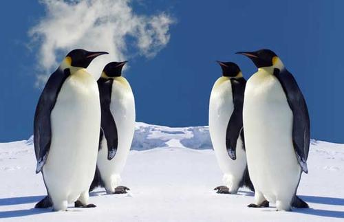 informat_1596526513779 informat_1596526513779