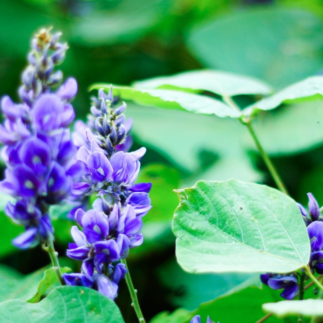 informat_1596528470287