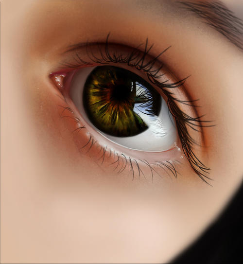 informat_1596528667325 informat_1596528667325