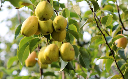 informat_1596528903800 informat_1596528903800