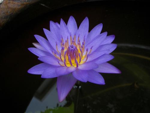 informat_1596529161400