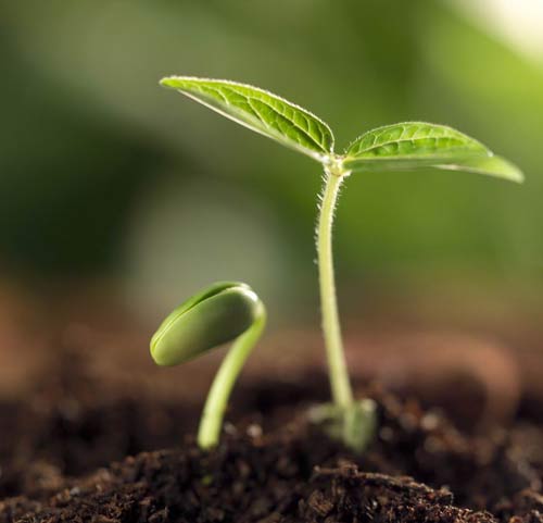 informat_1596529601477