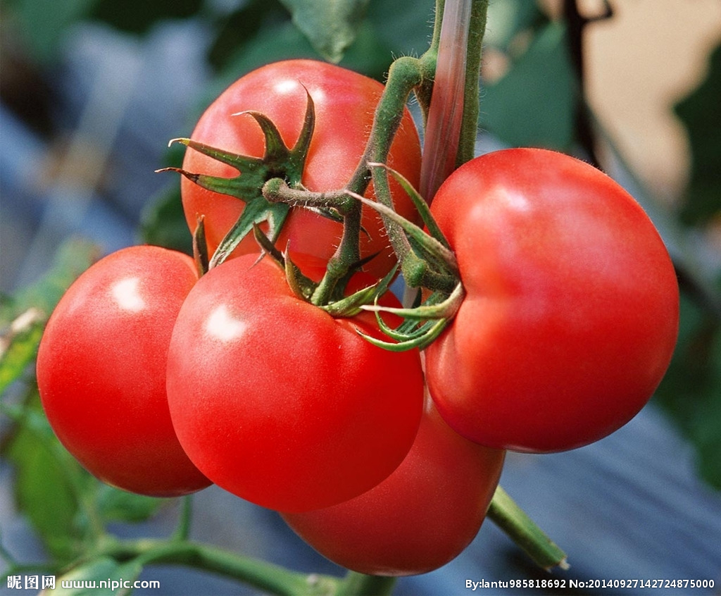 informat_1596530139109 informat_1596530139109