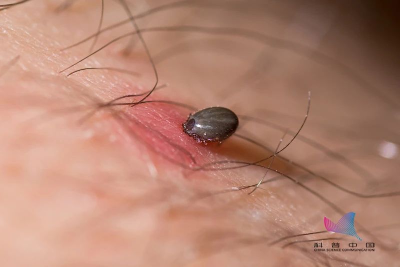 informat_1596586541045