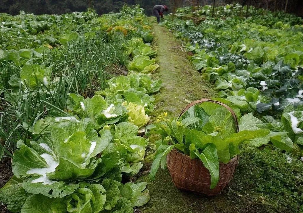 informat_1596592312881