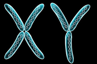 informat_1597368690955