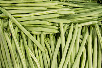 informat_1597370134378