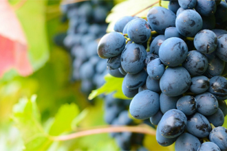 informat_1598866105669 informat_1598866105669