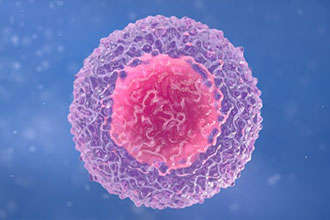 informat_1599006474284